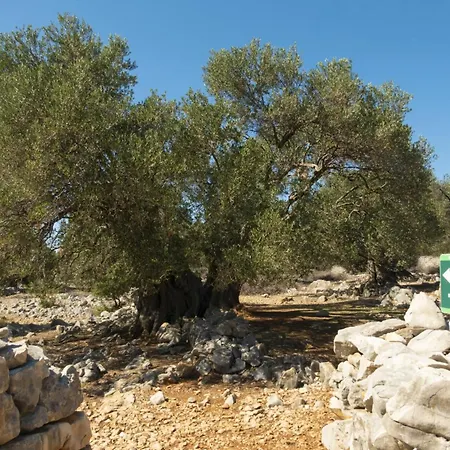 In Pag - Insel Pag 15889 Apartament Pag Town