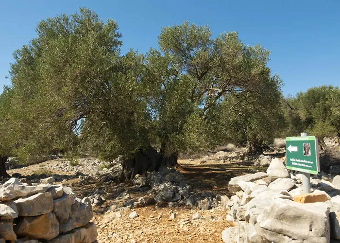 In Pag - Insel Pag 15889 Apartament Pag Town